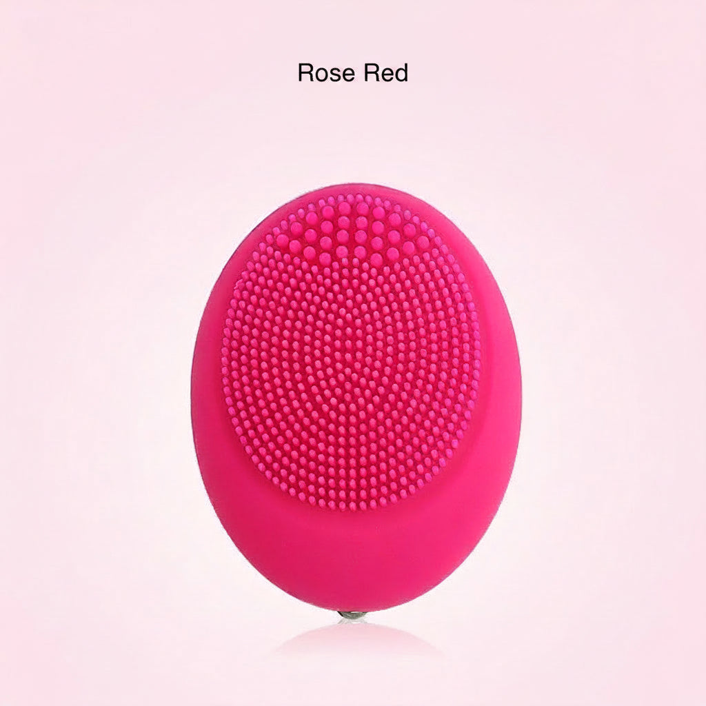Facial Cleansing Brush and Beauty Device